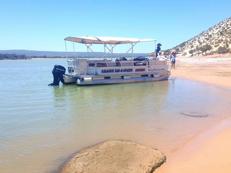 A beautifully plated meal at Buddha’s Bites in Kalbarri, featuring fresh seafood, vibrant salad, and a side of wine on a polished wooden table.
