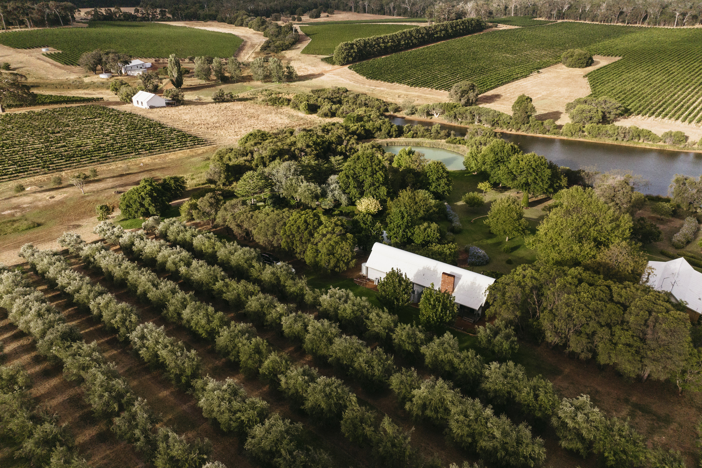 Aerial view of Margaret River vineyard surrounded by trees and farmland in Western Australia’s South West wine region.
