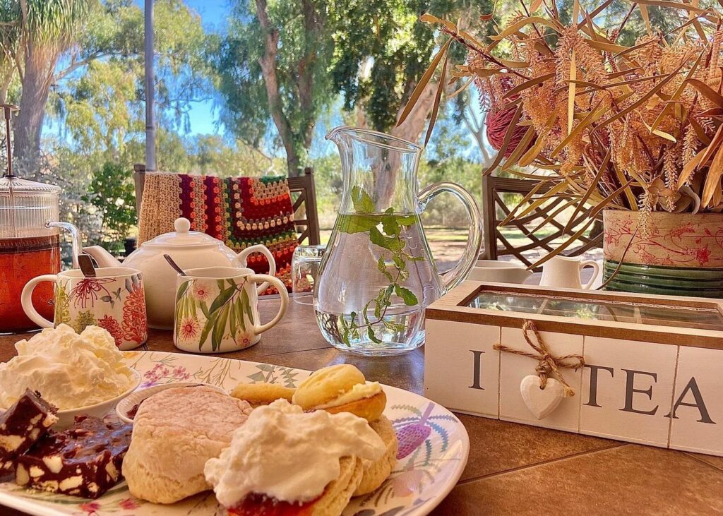 A rustic morning tea spread at Murchison House Station in Kalbarri, featuring scones with jam and cream, a teapot, and wildflowers on a wooden outdoor table.